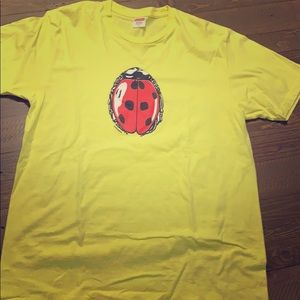 Neon yellow ladybug supreme